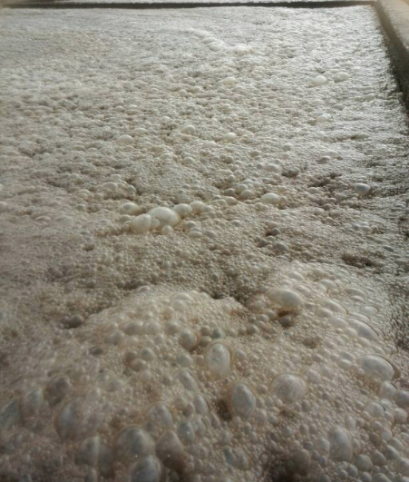 （圖：污水池泡沫）