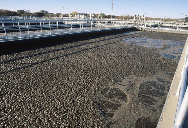 （圖：生化水處理泡沫場景）