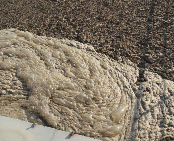 （圖：污水處理生化池泡沫多）