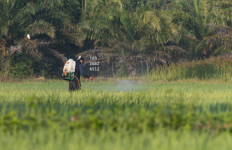 （圖：南輝液體肥料消泡劑的作用）