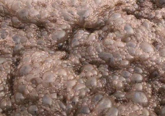 （圖：污水泡沫）