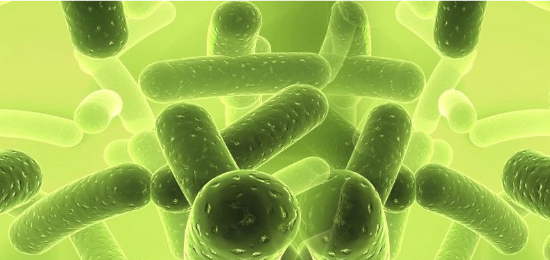 （圖：微生物發(fā)酵）