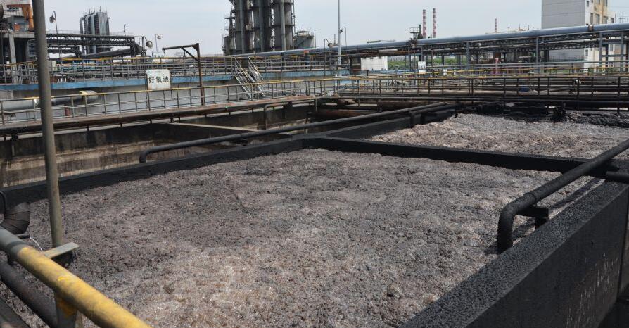 （圖：硝化池污水泡沫池）