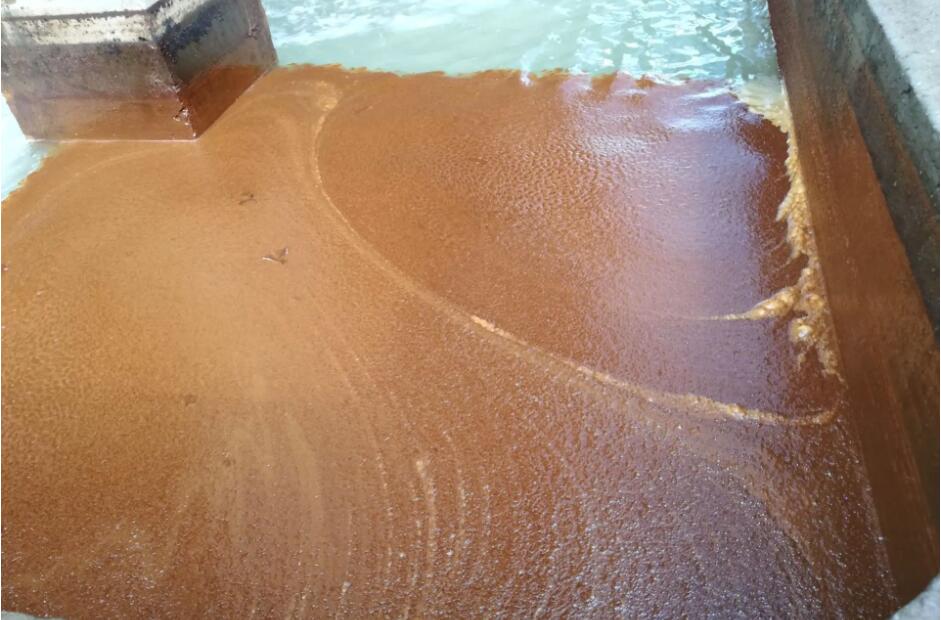 （圖：南輝水處理消泡劑應(yīng)用）